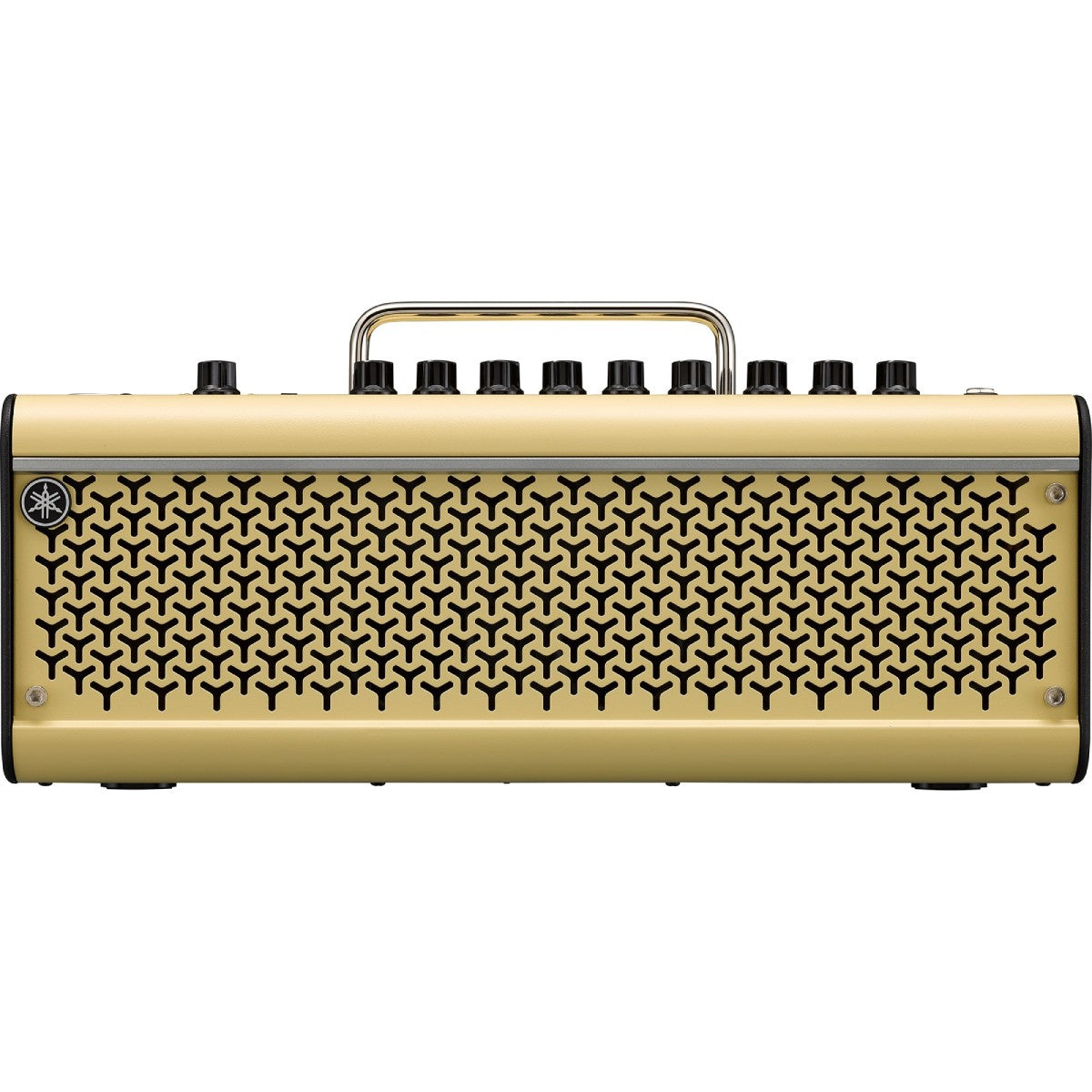 Amplifier Yamaha THR30 Series