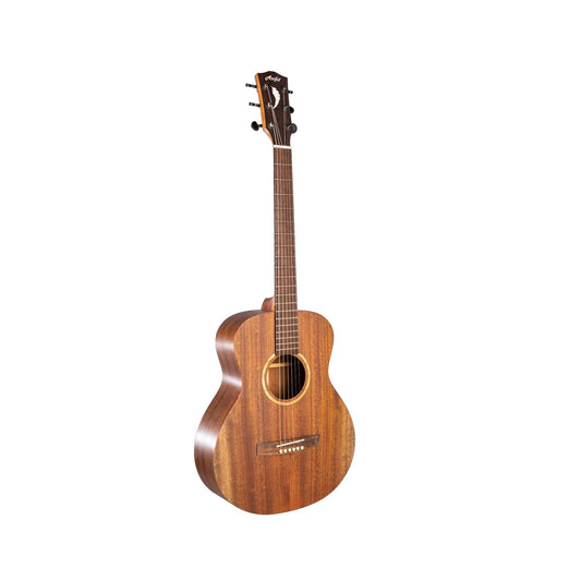 Đàn Guitar Acoustic Asolid 4M Nonbinding - Việt Music