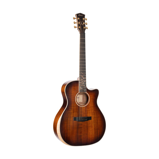 Đàn Guitar Acoustic Cort The Black Tree Limited Edition, Light Burst Satin - Việt Music