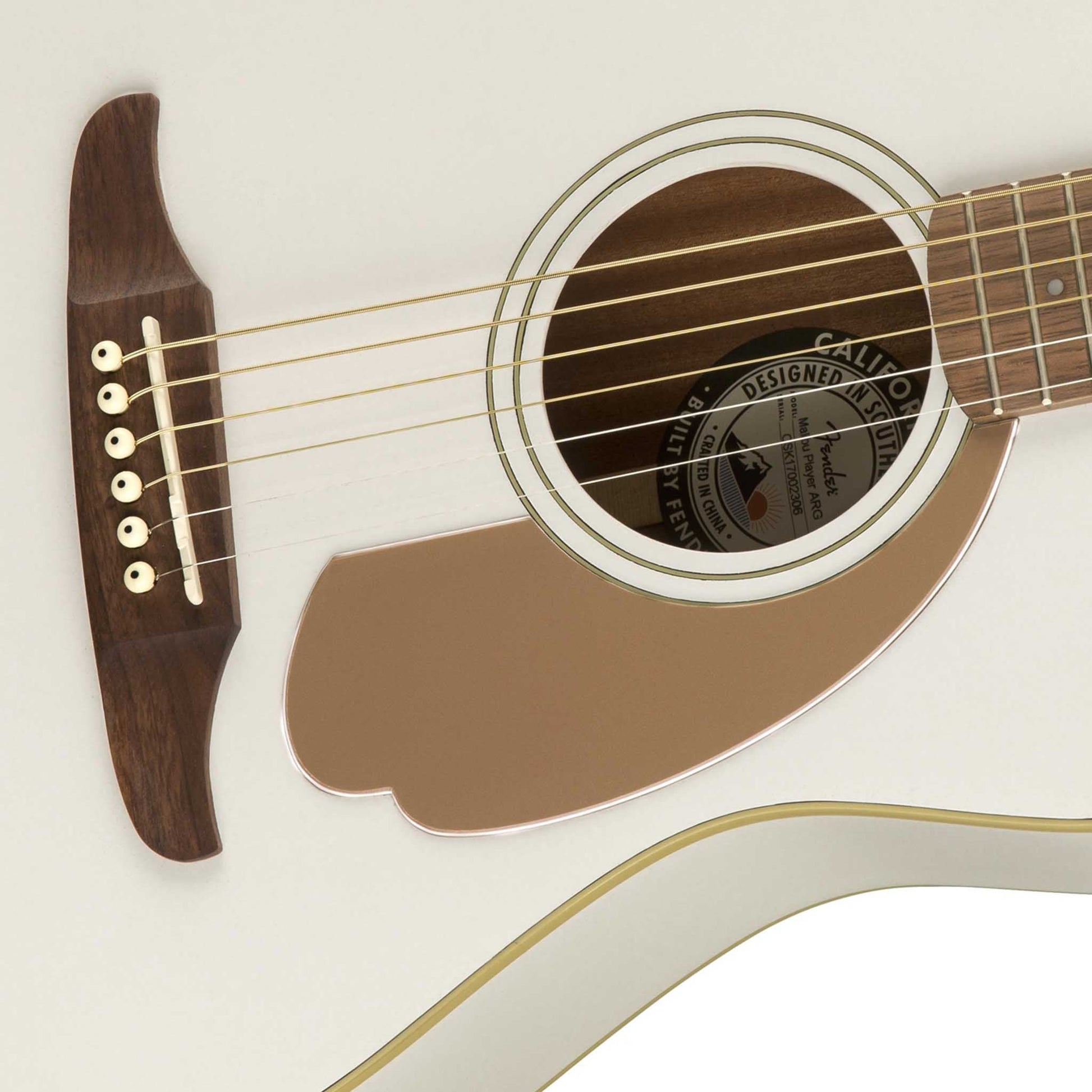 Đàn Guitar Acoustic Fender Malibu Player - Việt Music