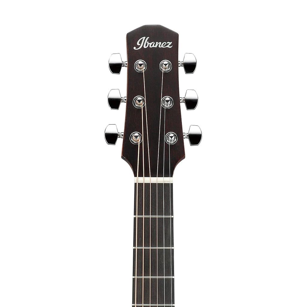 Đàn Guitar Acoustic Ibanez AAD50 - Việt Music