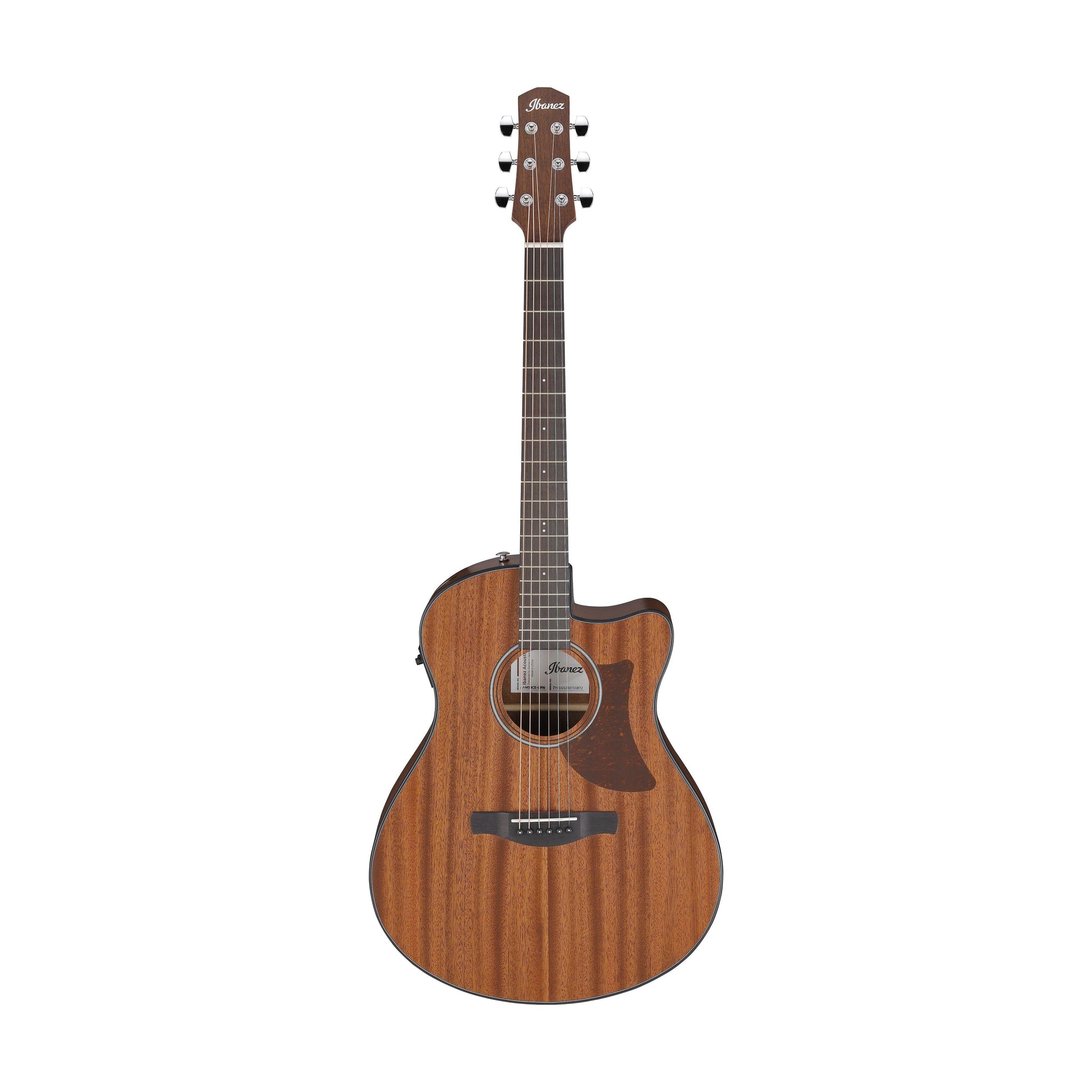 Đàn Guitar Acoustic Ibanez AAM54CE Open Pore Natural - Việt Music