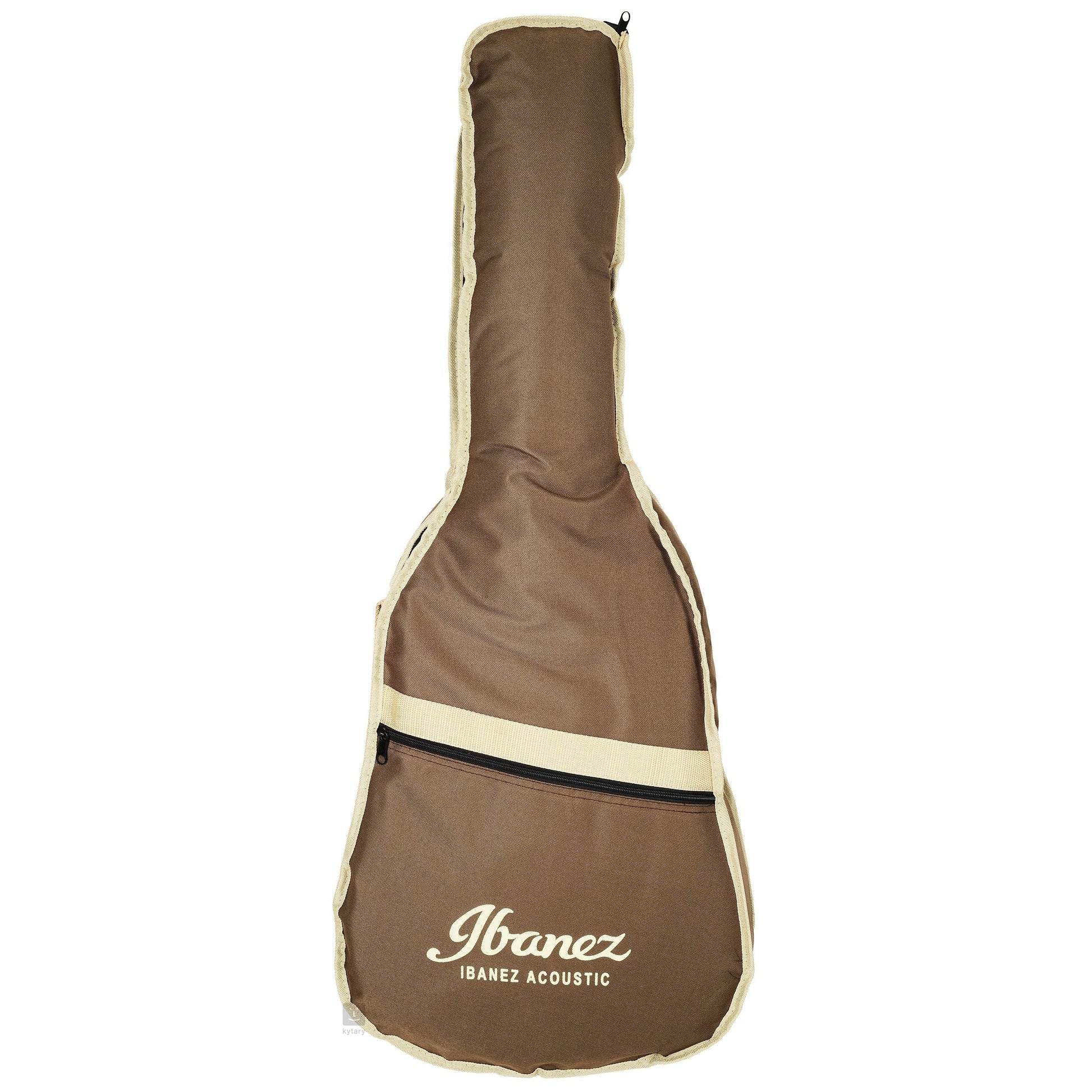 Đàn Guitar Acoustic Ibanez AE245JR Open Pore Natural - Việt Music