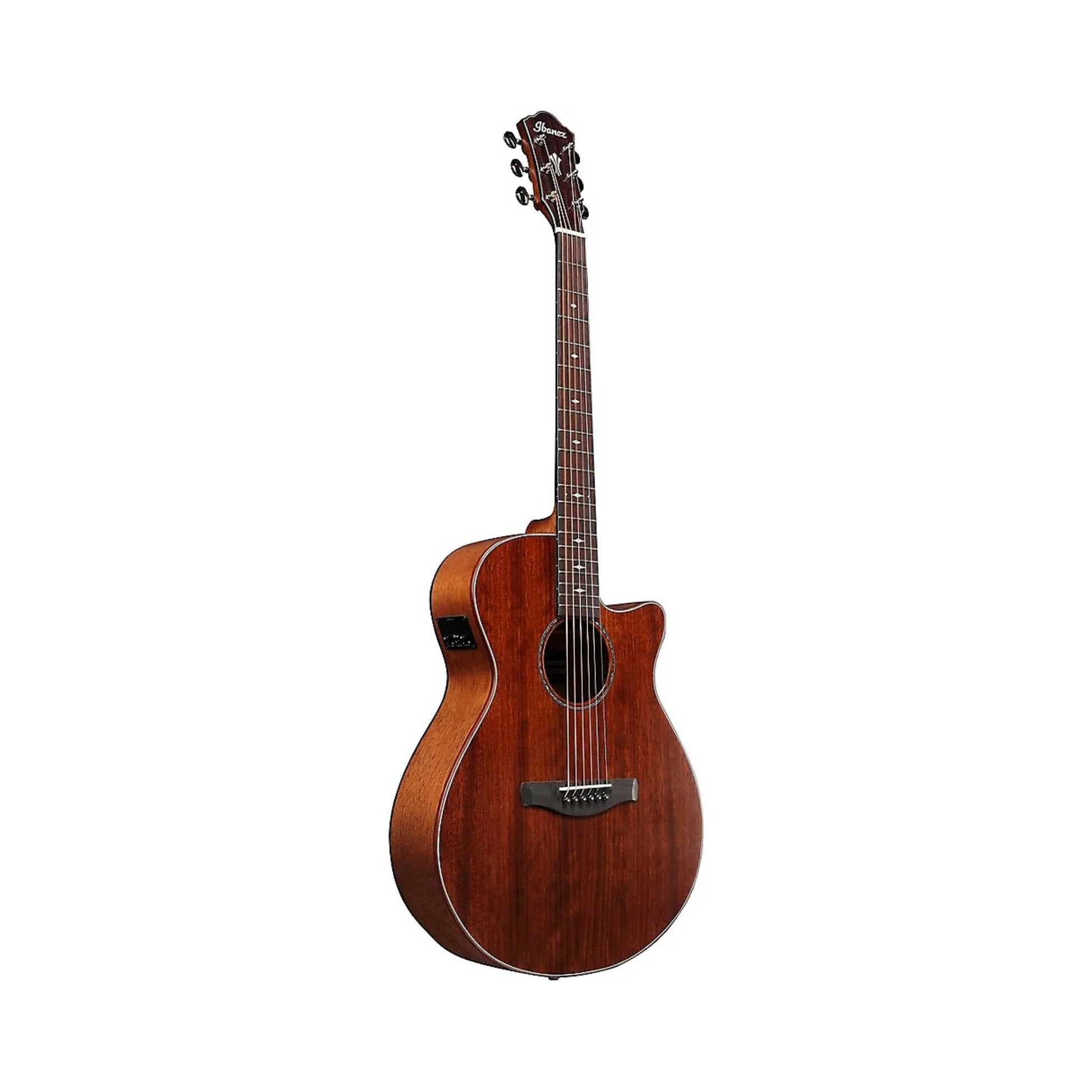 Đàn Guitar Acoustic Ibanez AEG220, Natural Low Gloss - Việt Music