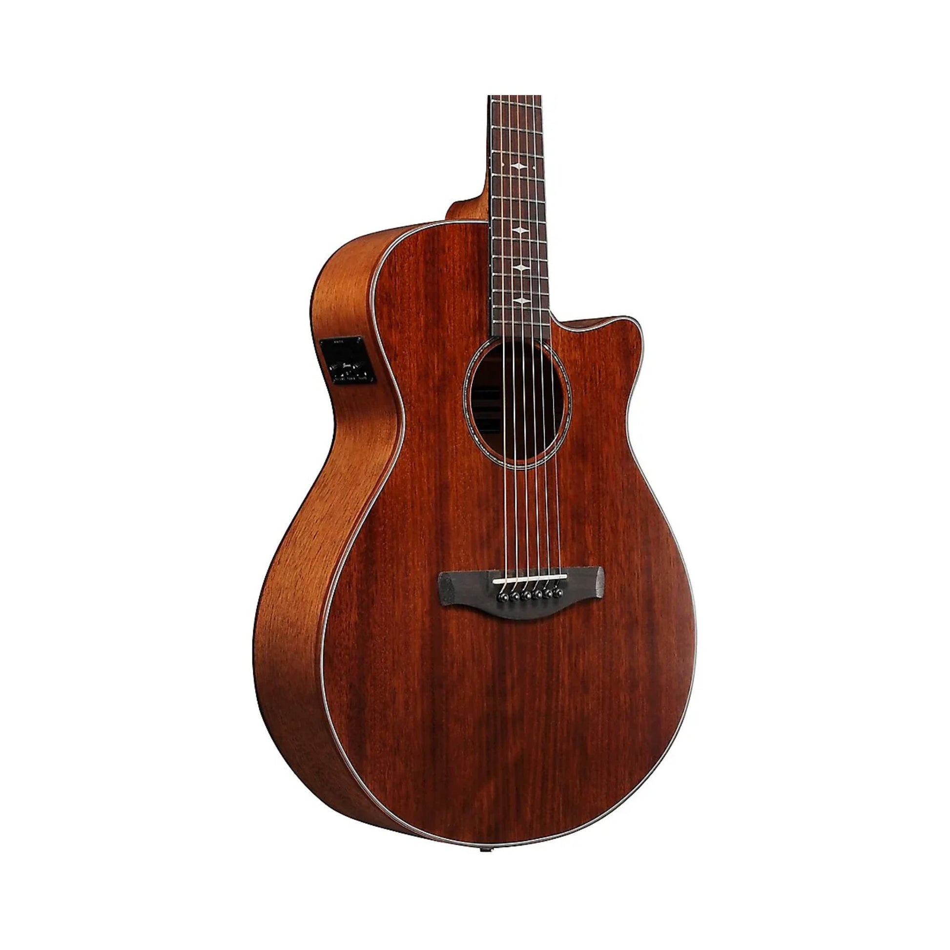 Đàn Guitar Acoustic Ibanez AEG220, Natural Low Gloss - Việt Music