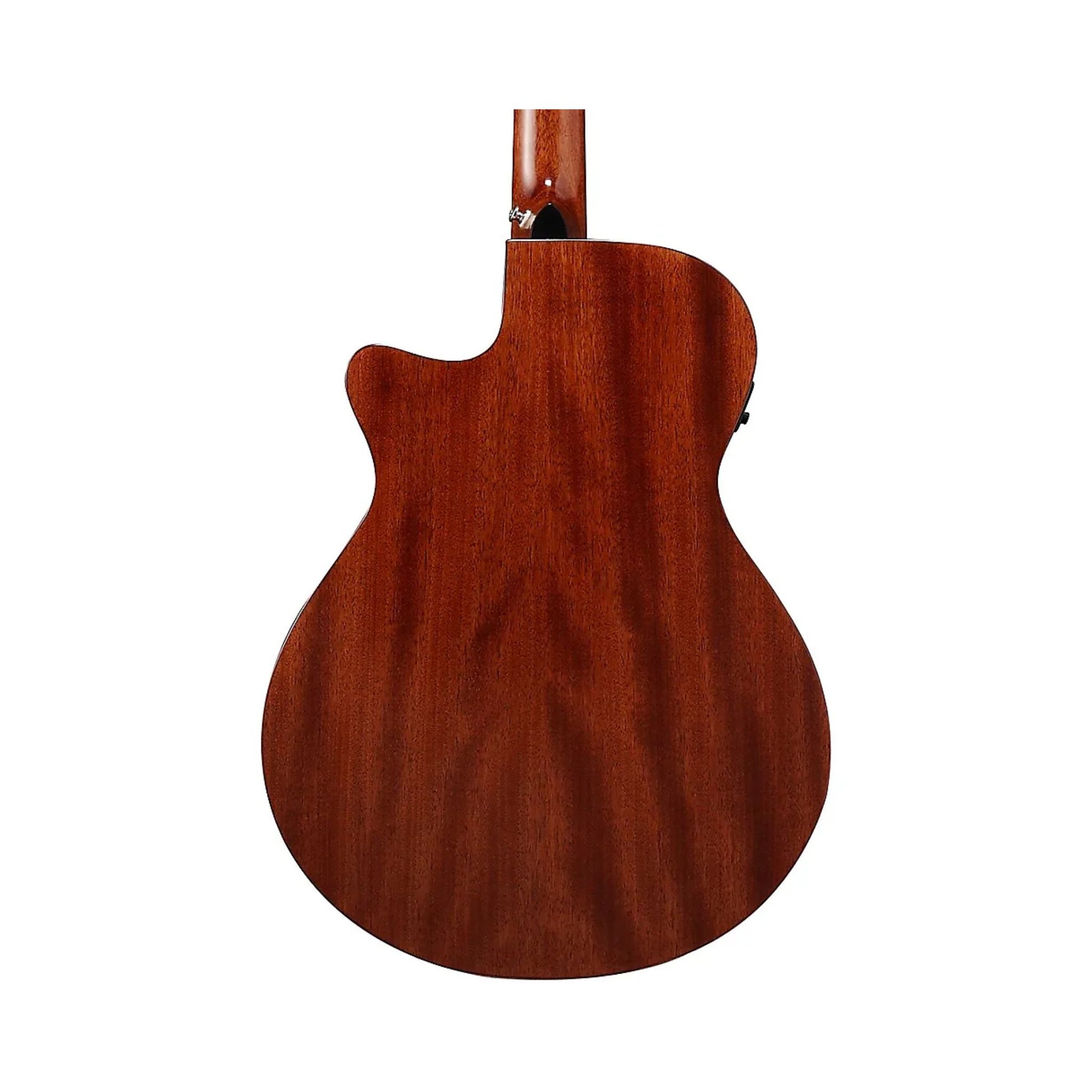 Đàn Guitar Acoustic Ibanez AEG220, Natural Low Gloss - Việt Music