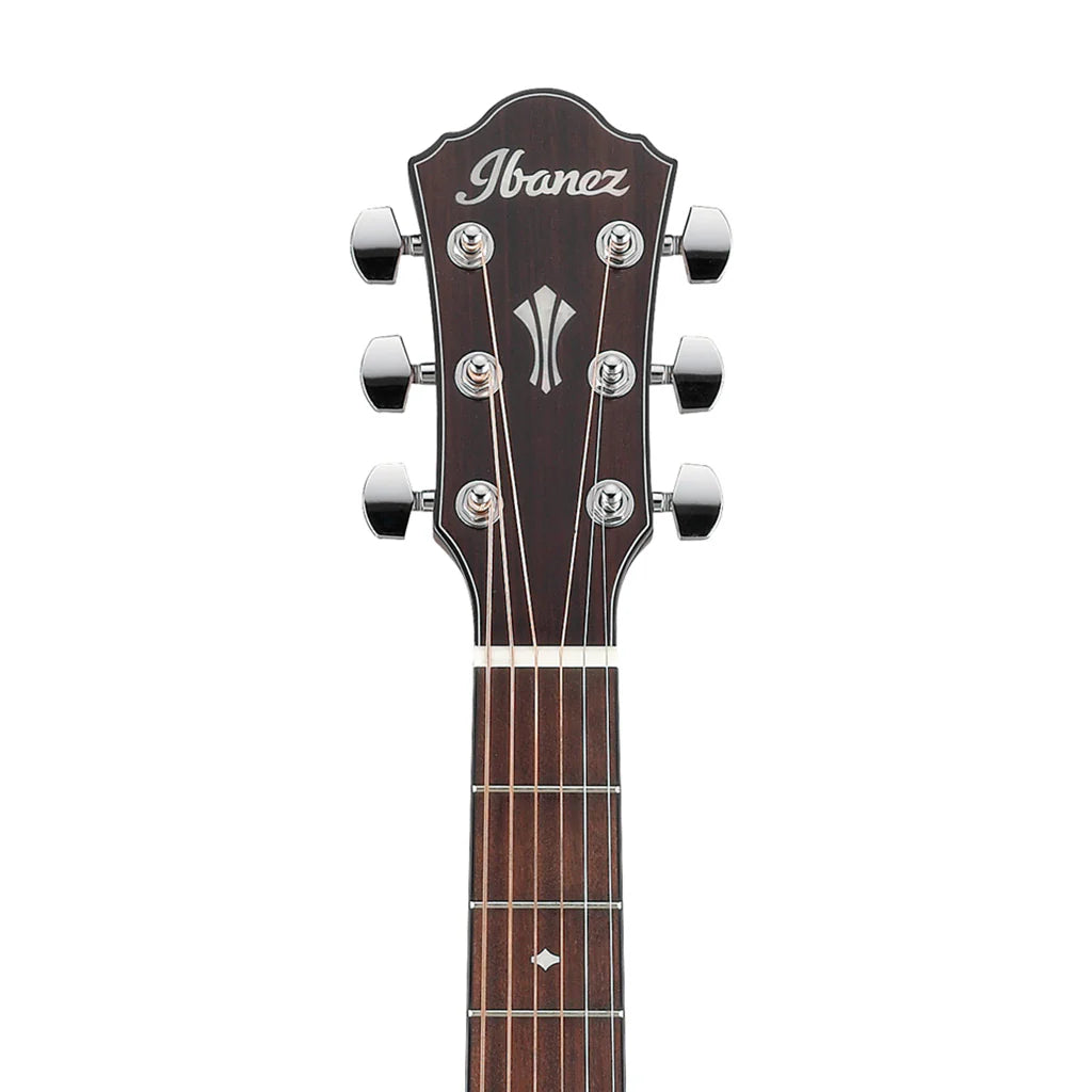 Đàn Guitar Acoustic Ibanez AEG220, Natural Low Gloss - Việt Music