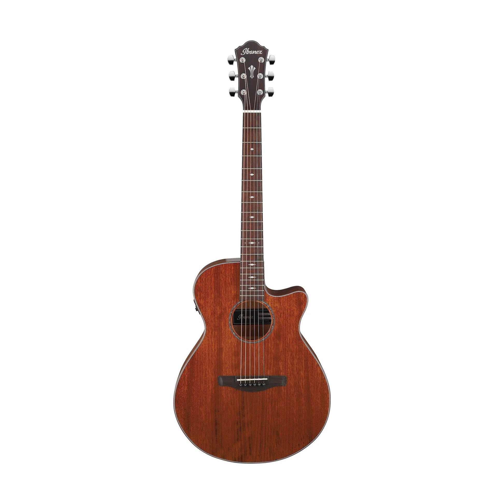 Đàn Guitar Acoustic Ibanez AEG220, Natural Low Gloss - Việt Music