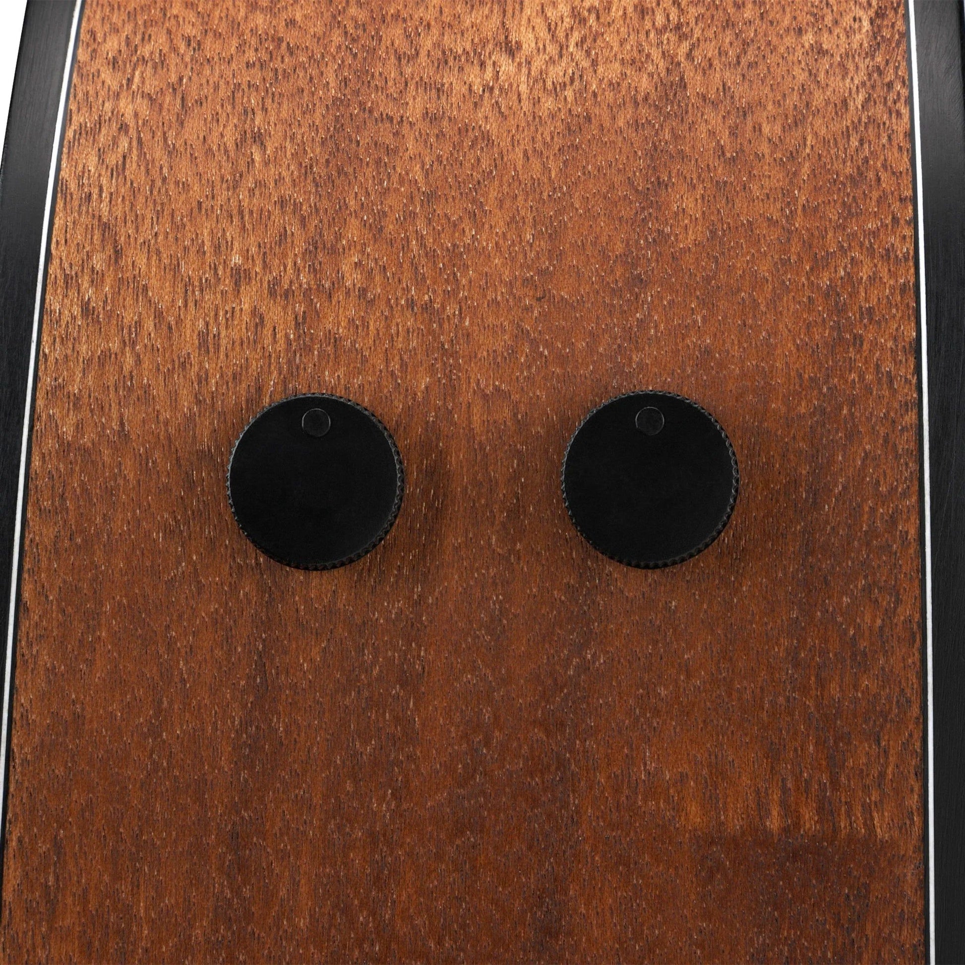Đàn Guitar Acoustic Ibanez AW1040CE - Việt Music