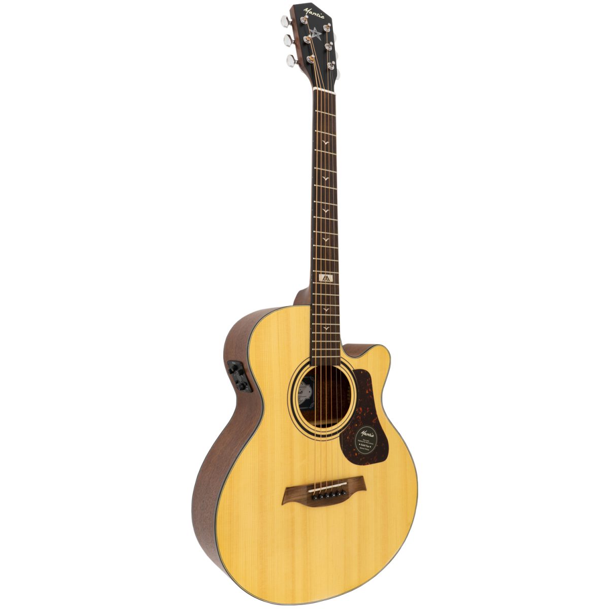 Đàn Guitar Acoustic Mantic GT-10ACE - Việt Music