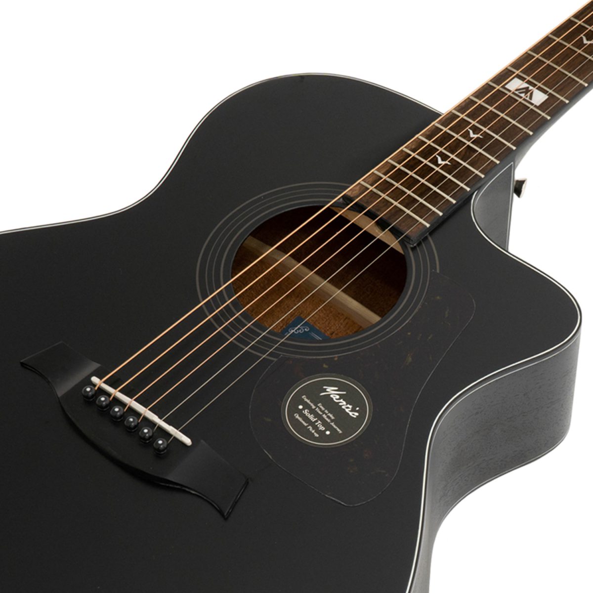 Đàn Guitar Acoustic Mantic GT-10GC - Việt Music