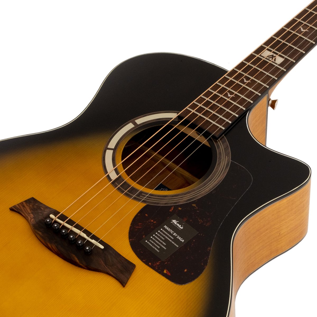 Đàn Guitar Acoustic Mantic GT-1GCE - Việt Music