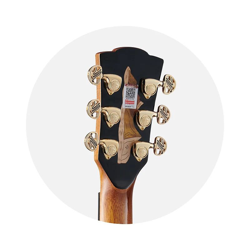 Đàn Guitar Acoustic Merida Extrema Winter GS - Việt Music