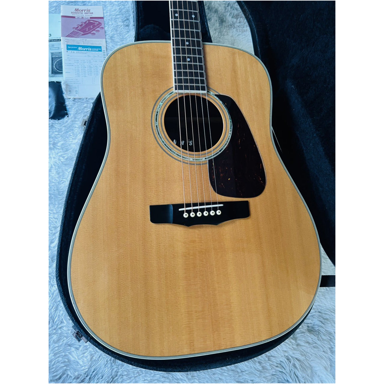 Đàn Guitar Acoustic Morris M50 - Qua Sử Dụng - Việt Music