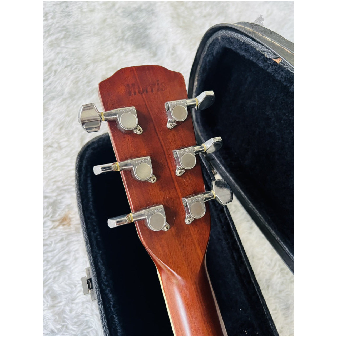 Đàn Guitar Acoustic Morris M50 - Qua Sử Dụng - Việt Music