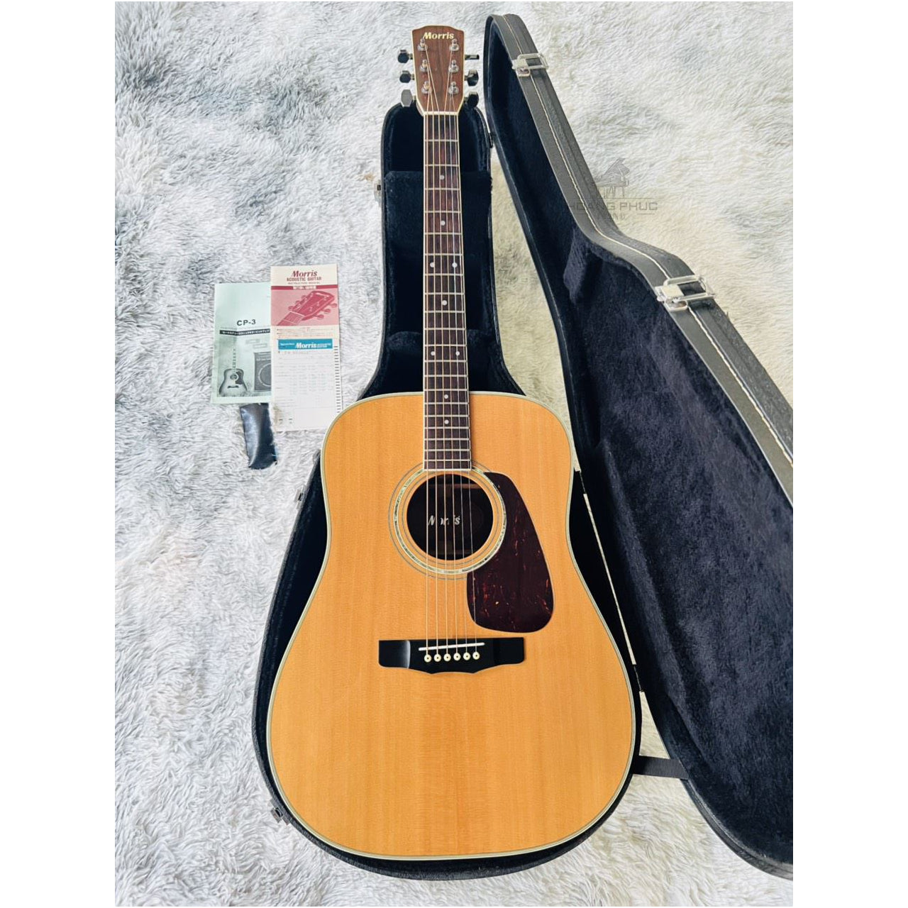 Đàn Guitar Acoustic Morris M50 - Qua Sử Dụng - Việt Music