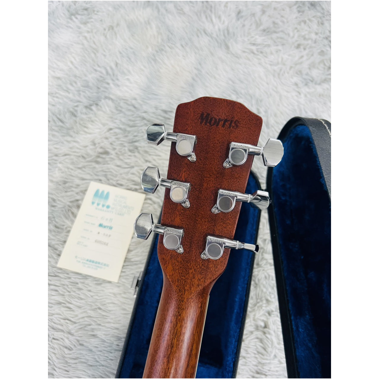 Đàn Guitar Acoustic Morris M50F - Qua Sử Dụng - Việt Music