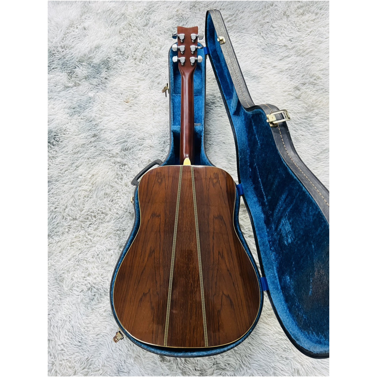 Đàn Guitar Acoustic Morris MD525 - Qua Sử Dụng - Việt Music