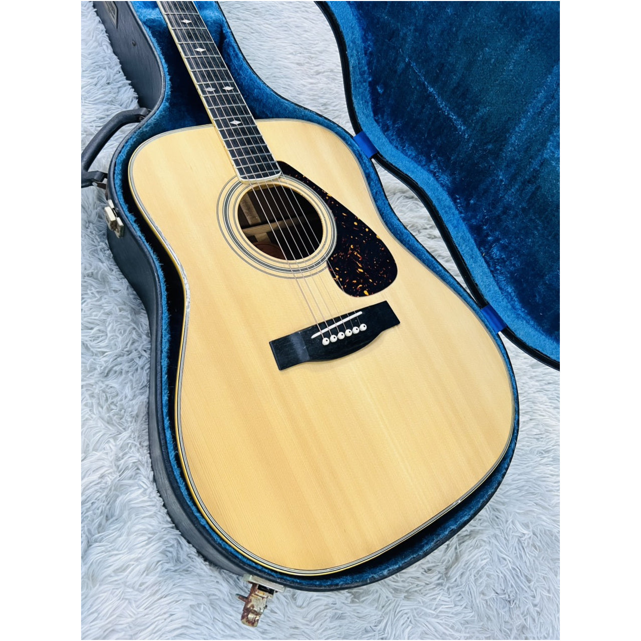 Đàn Guitar Acoustic Morris MD525 - Qua Sử Dụng - Việt Music