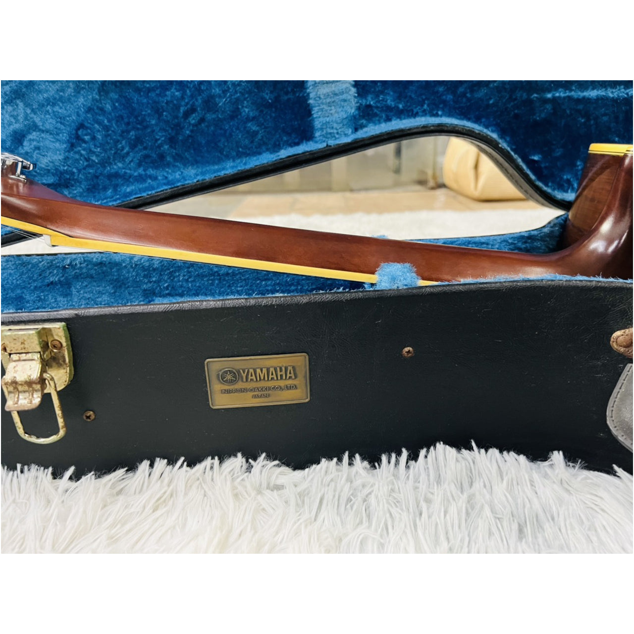 Đàn Guitar Acoustic Morris MD525 - Qua Sử Dụng - Việt Music