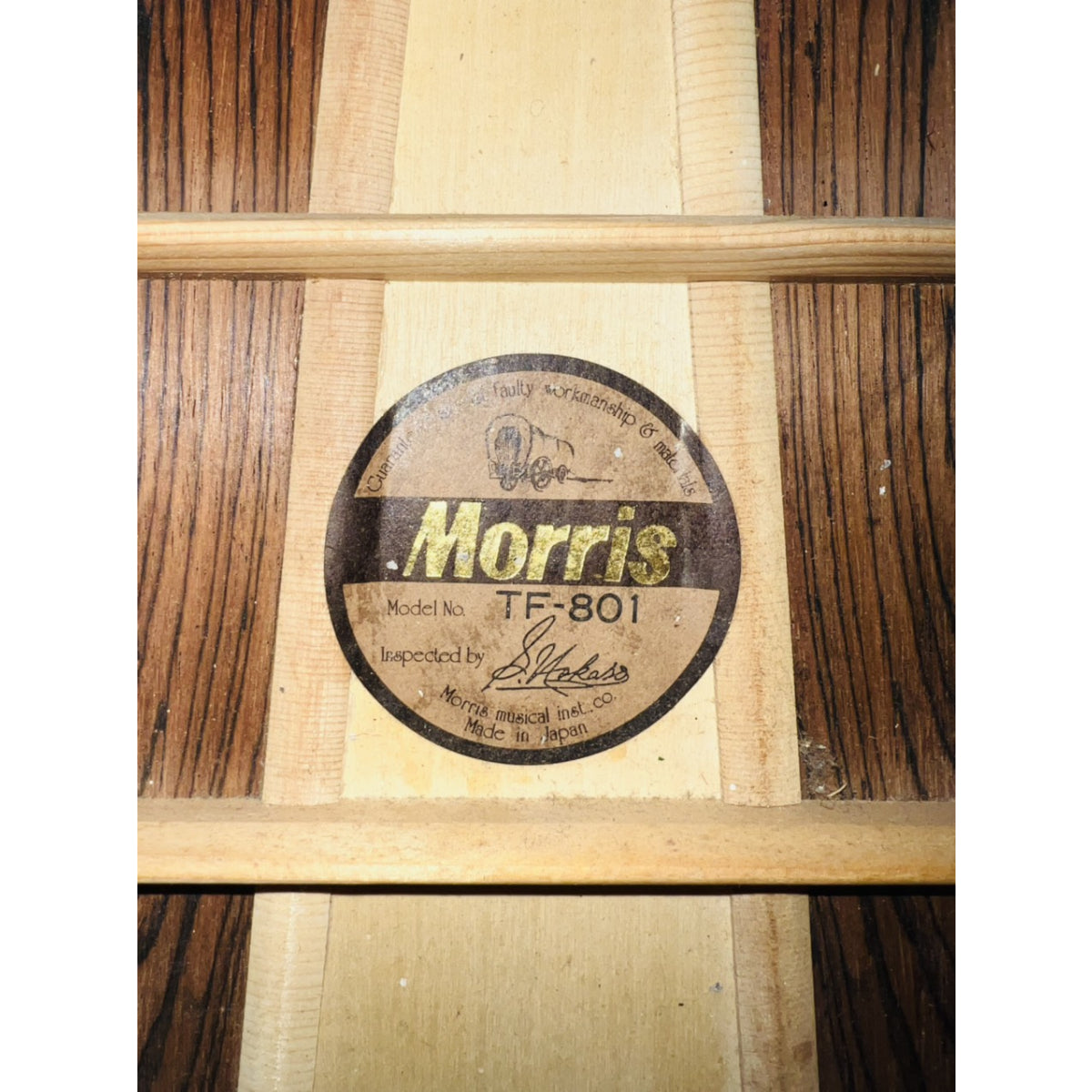 Đàn Guitar Acoustic Morris TF801 - Qua Sử Dụng - Việt Music