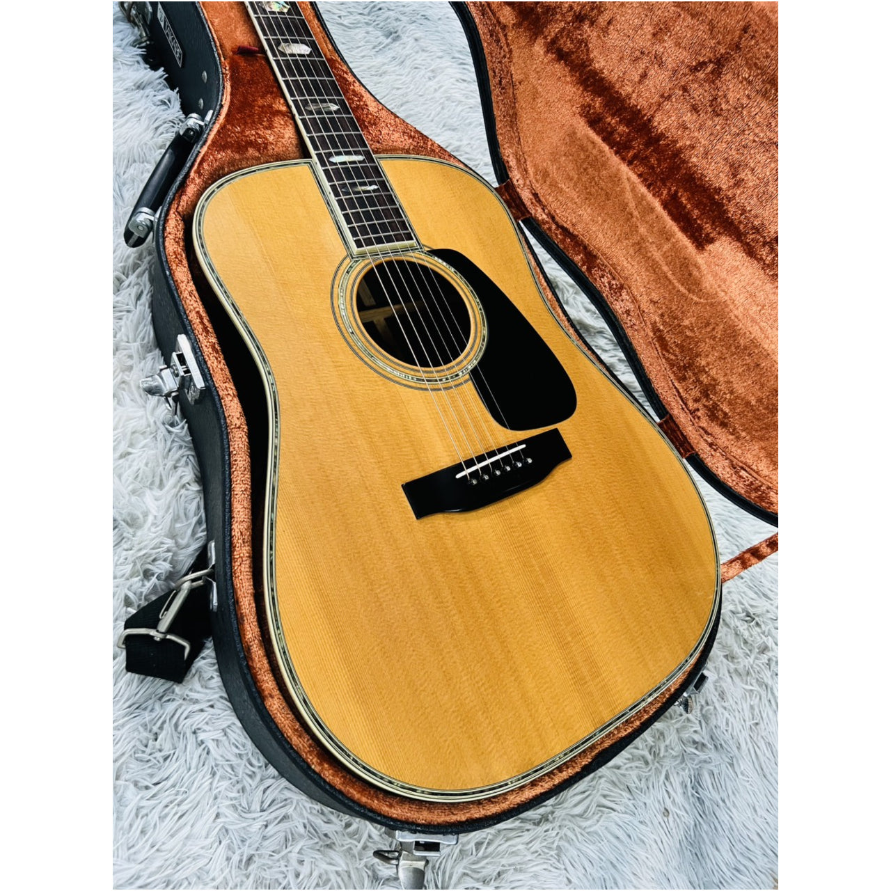 Đàn Guitar Acoustic Morris TF810 - Qua Sử Dụng - Việt Music