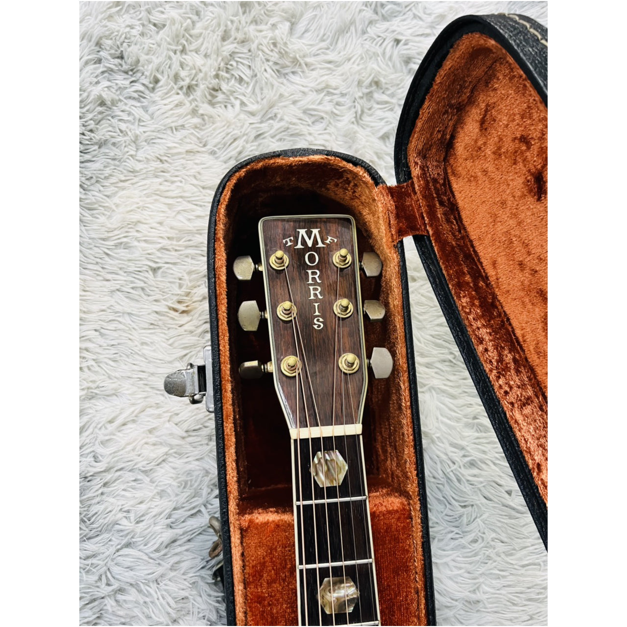 Đàn Guitar Acoustic Morris TF810 - Qua Sử Dụng - Việt Music