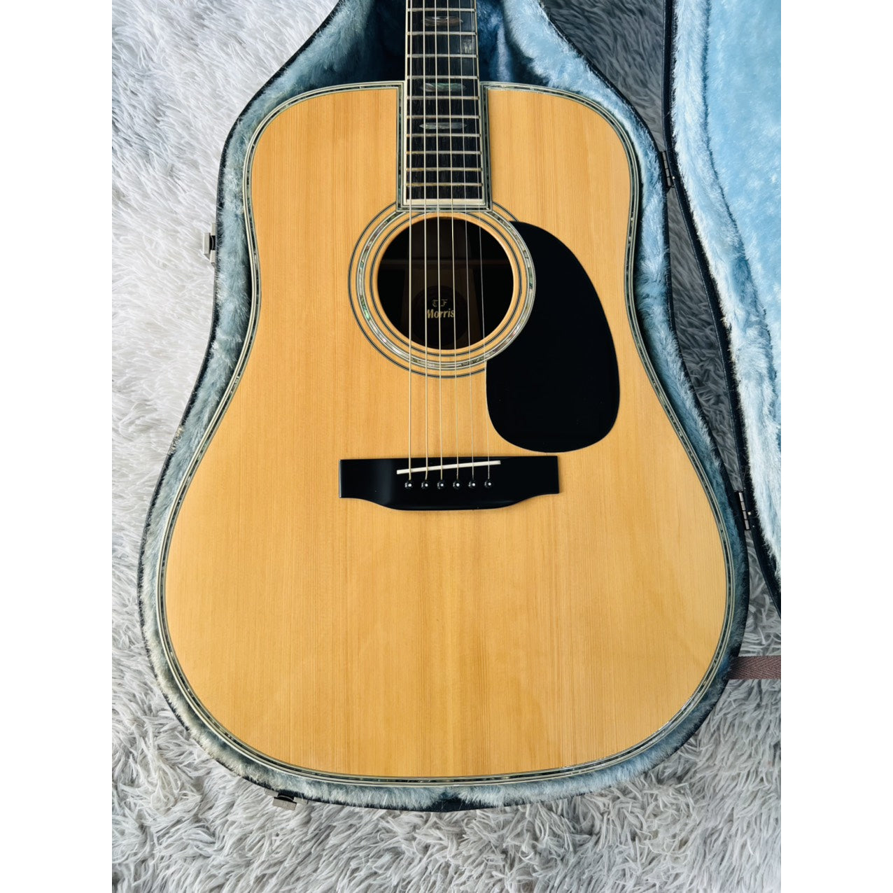 Đàn Guitar Acoustic Morris W100 - Qua Sử Dụng - Việt Music