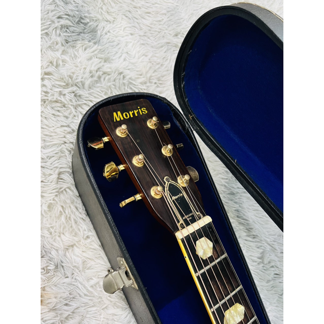 Đàn Guitar Acoustic Morris W40 1974 - Qua Sử Dụng - Việt Music