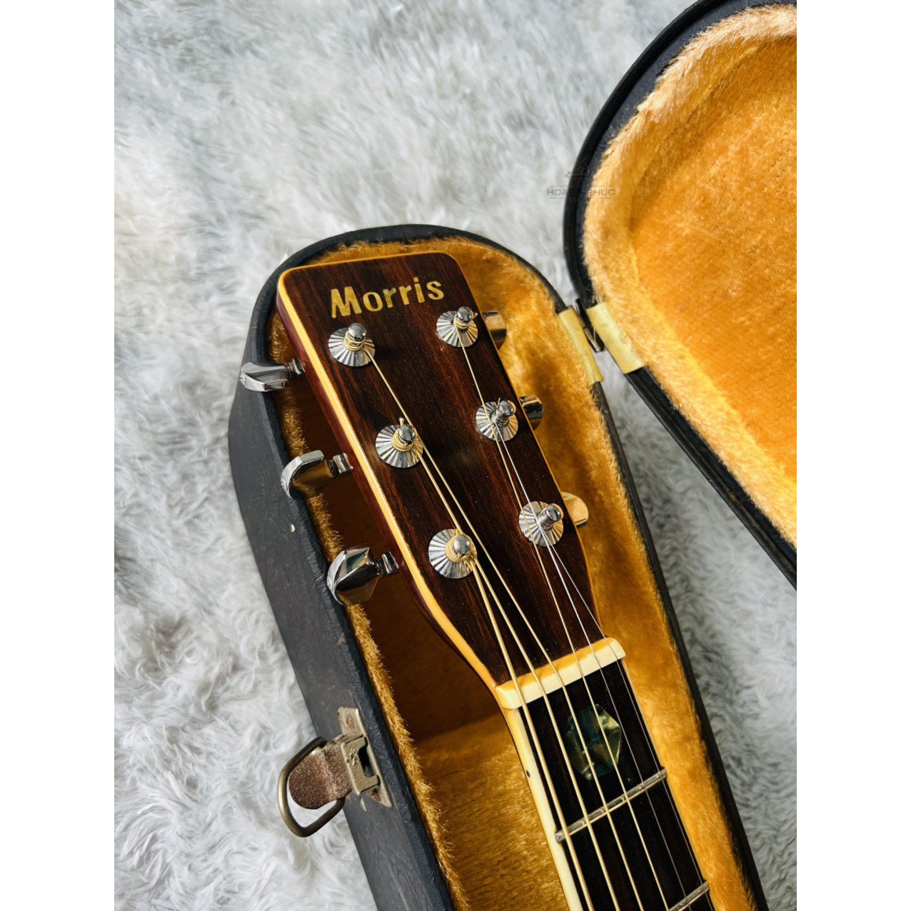 Đàn Guitar Acoustic Morris W40 1975 - Qua Sử Dụng - Việt Music