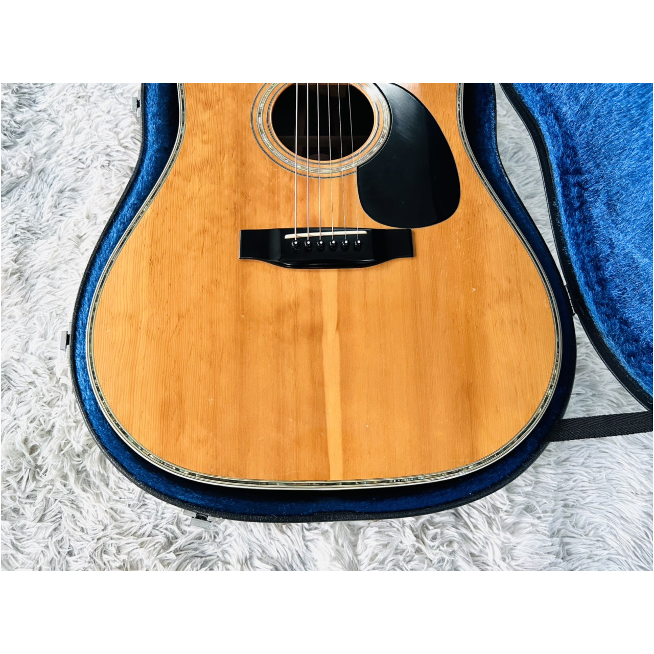 Đàn Guitar Acoustic Morris W80 1987 - Qua Sử Dụng - Việt Music