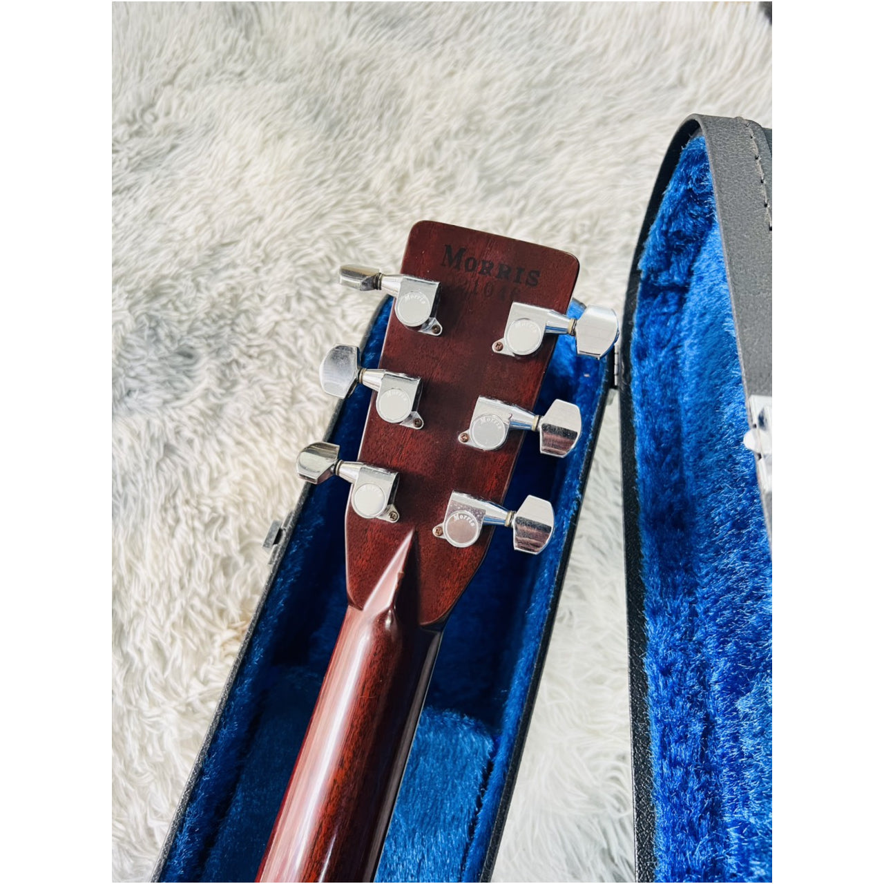 Đàn Guitar Acoustic Morris W80 1987 - Qua Sử Dụng - Việt Music