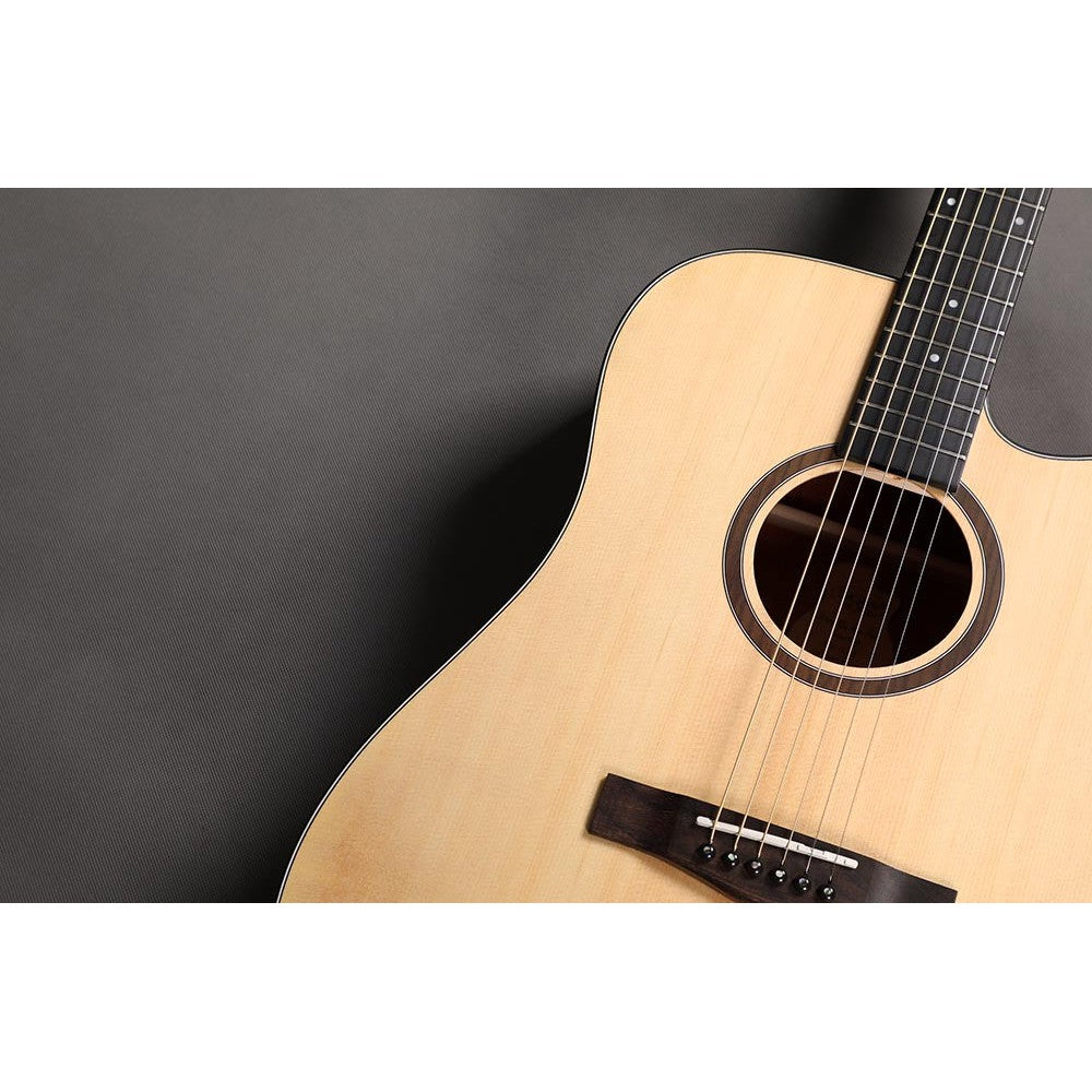 Đàn Guitar Acoustic Sqoe SQ-41B EQ - Việt Music