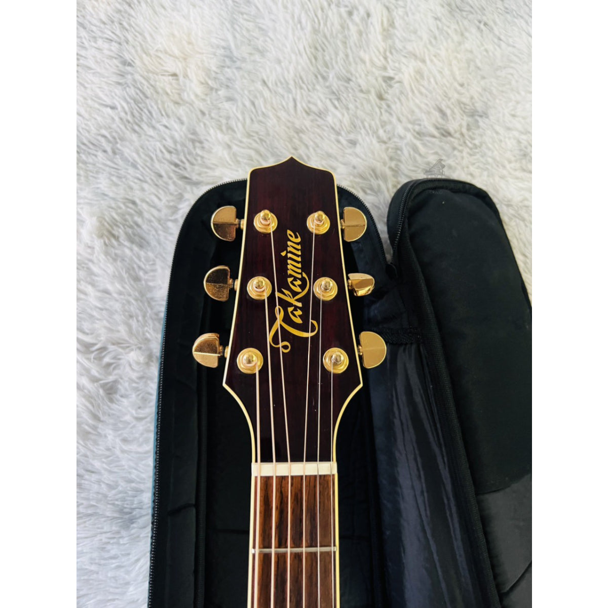 Đàn Guitar Acoustic Takamine DMP512 WR - Qua Sử Dụng - Việt Music