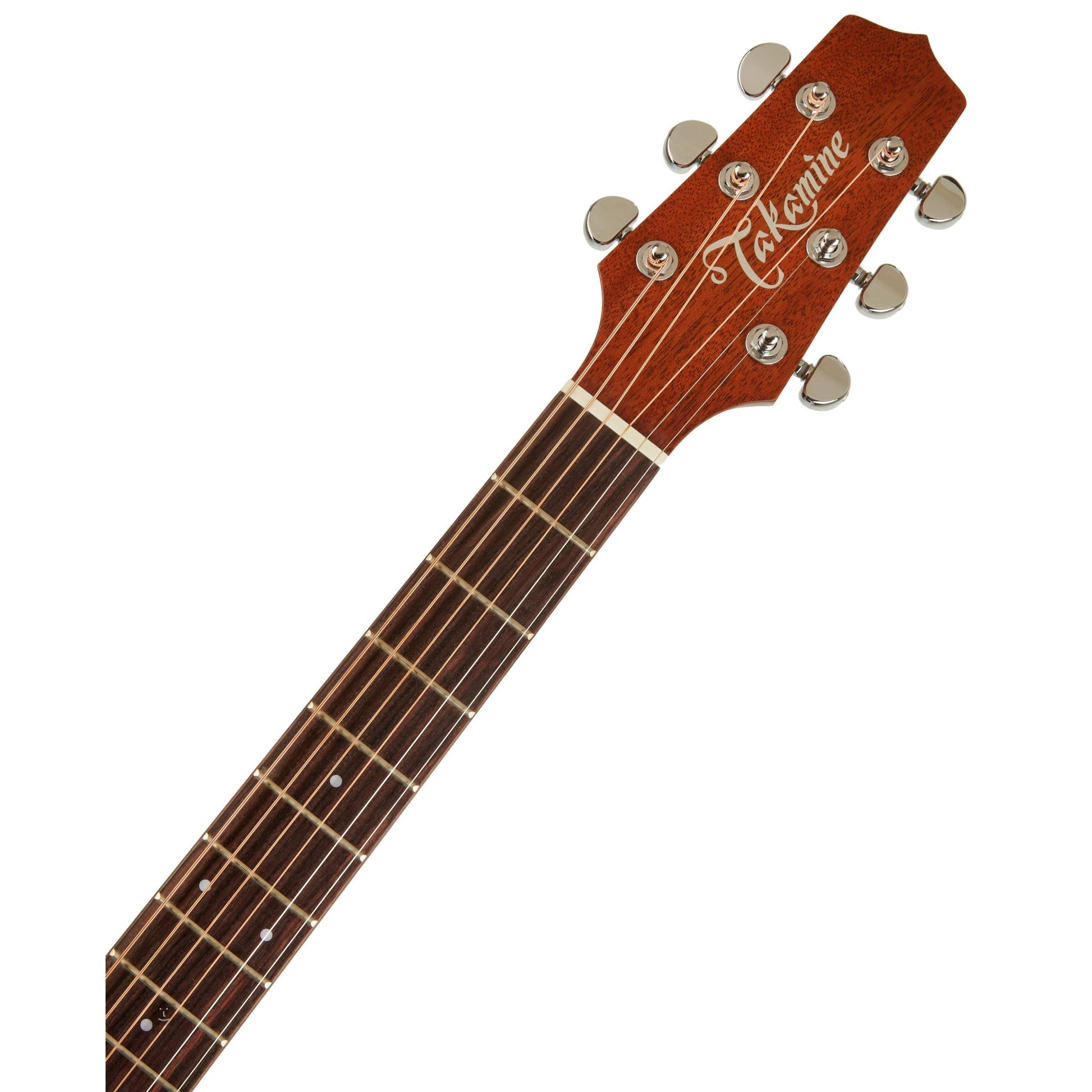 Đàn Guitar Takamine P1DC, Acoustic - Việt Music