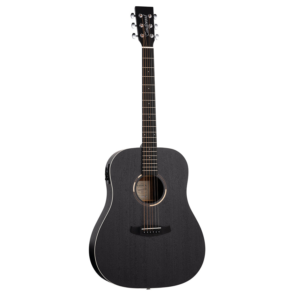 Đàn Guitar Acoustic Tanglewood TWBB-SDE - Việt Music