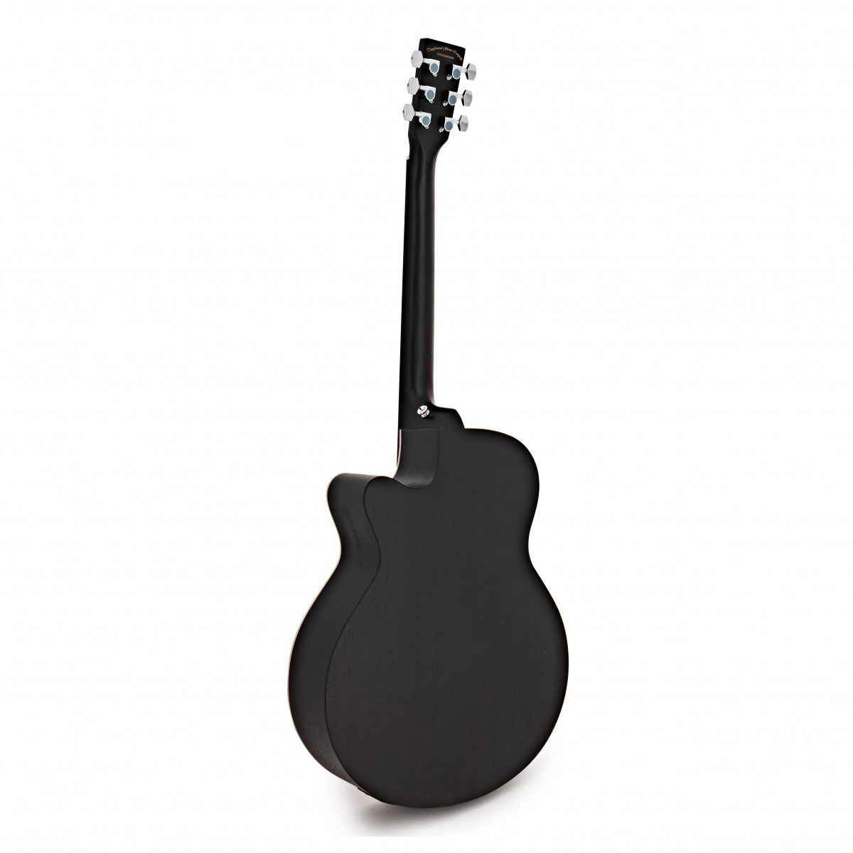 Đàn Guitar Acoustic Tanglewood TWBB-SFCE - Việt Music