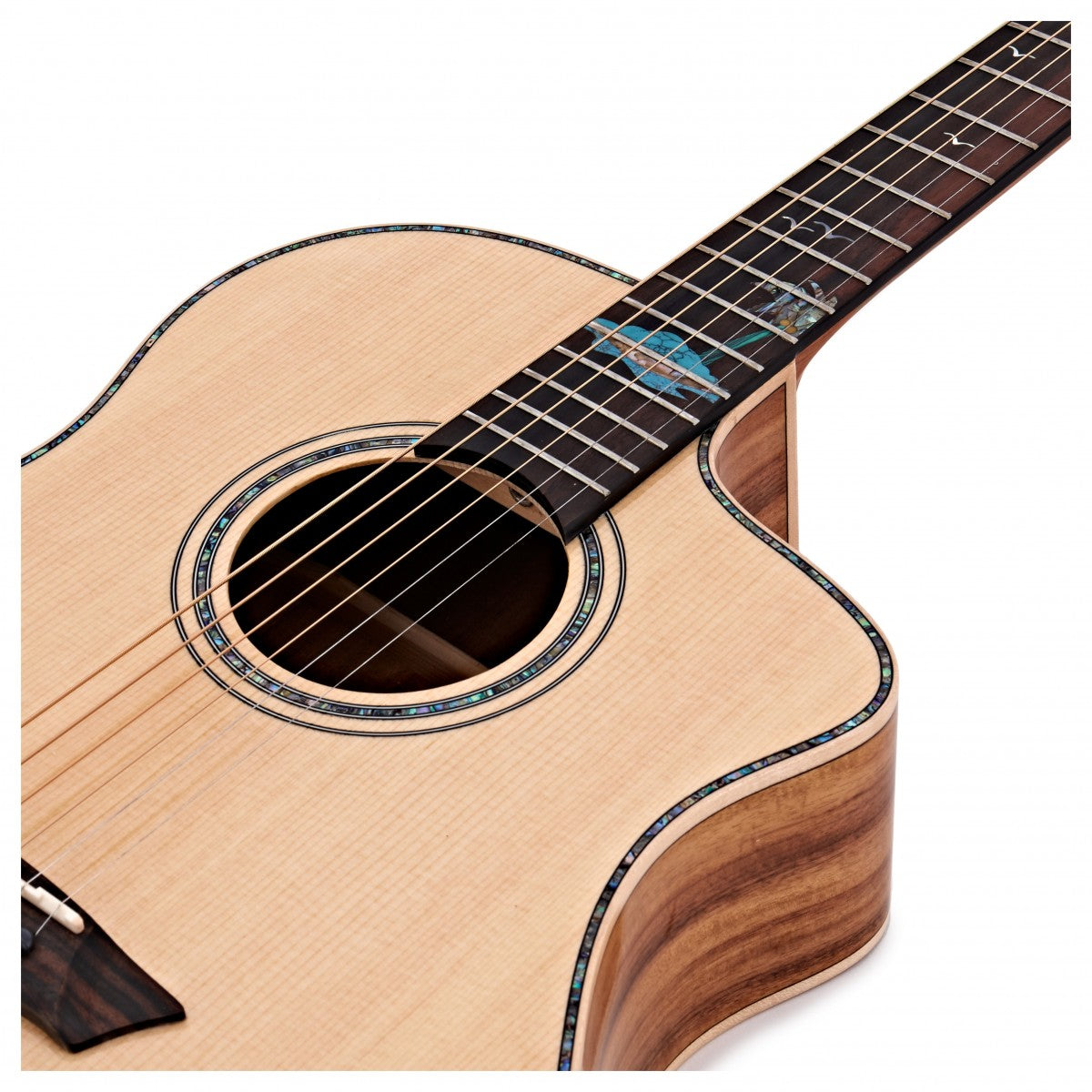 Đàn Guitar Washburn Bella Tono Allure SC56S Acoustic - Việt Music