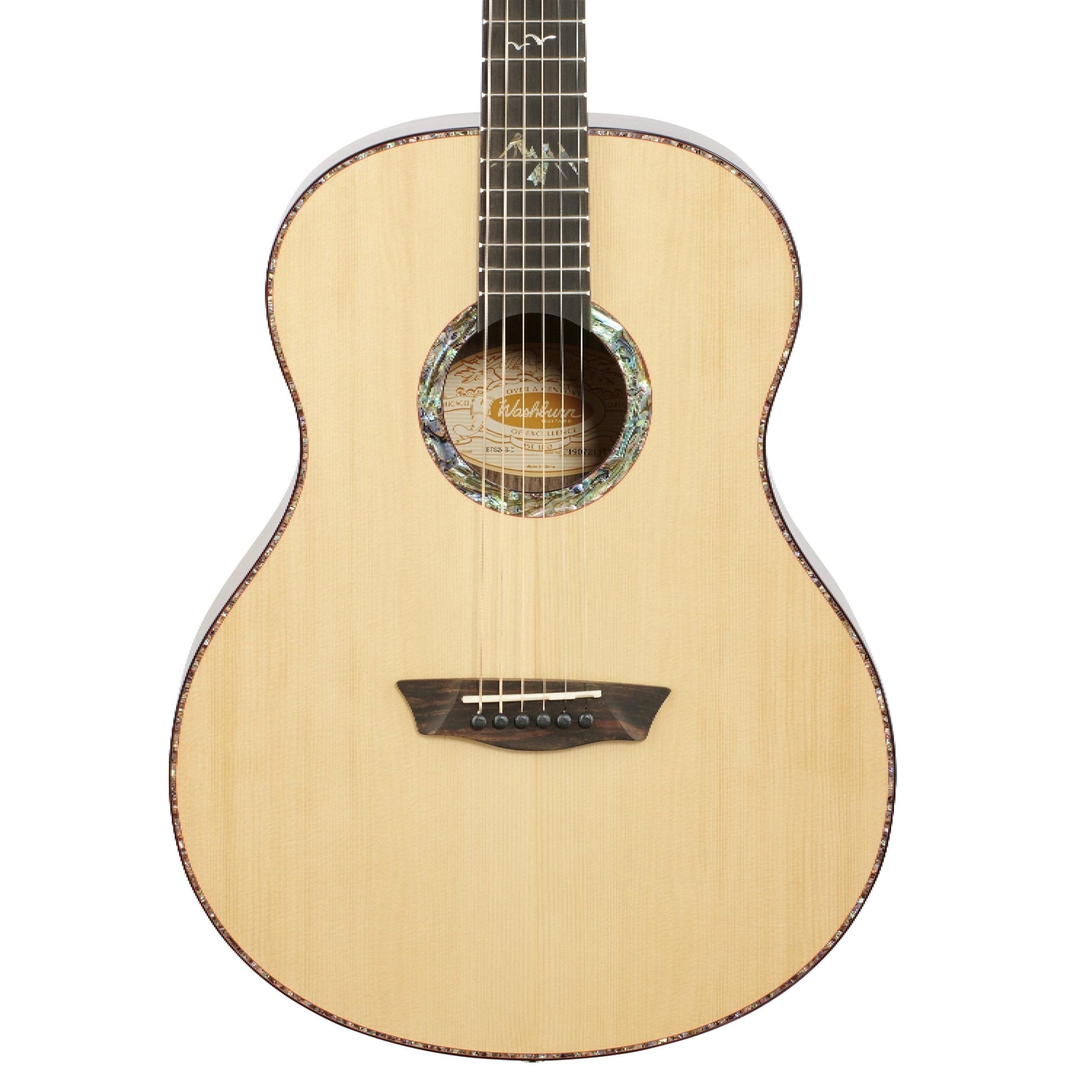 Đàn Guitar Washburn Bella Tono Elegante S24S Acoustic - Việt Music