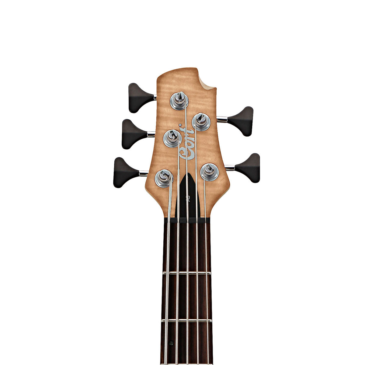 Đàn Guitar Bass Cort A5 Plus FMMH - 5 Strings - Việt Music