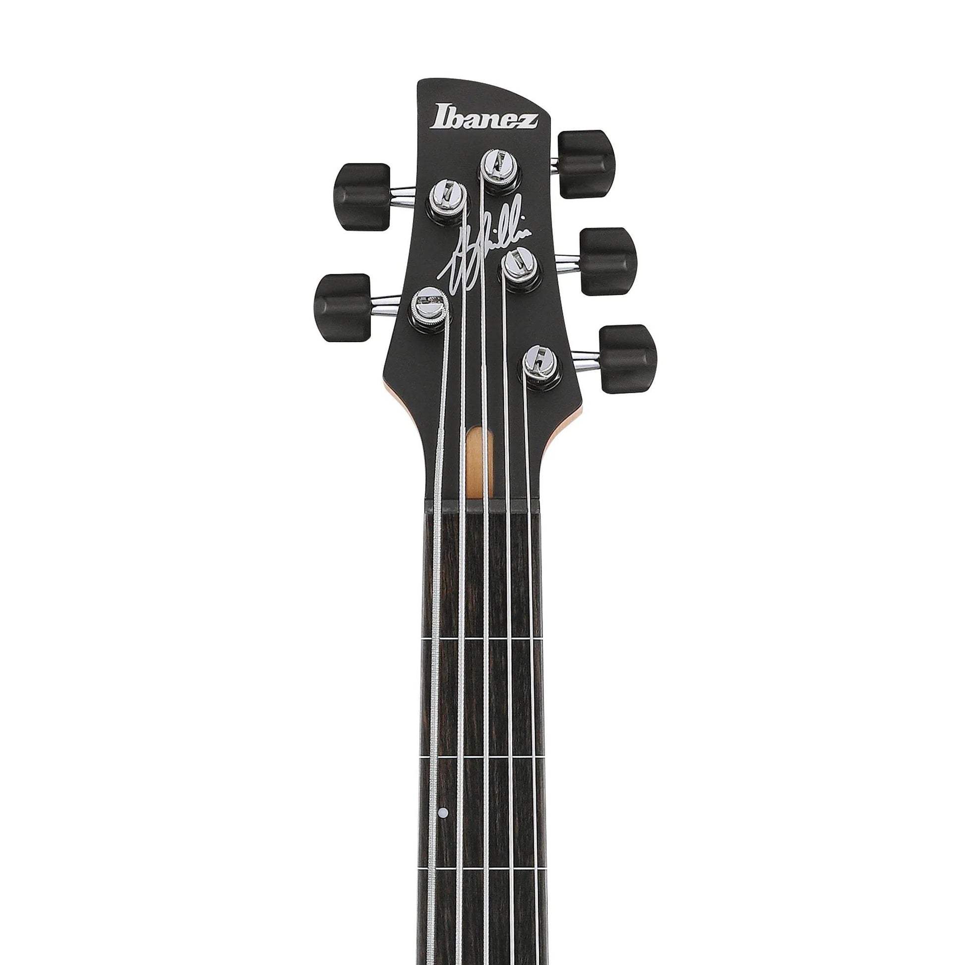 Đàn Guitar Bass Ibanez GWB25TH Gary Willis Signature - 5 Strings, Silver Wave Burst Flat - Việt Music