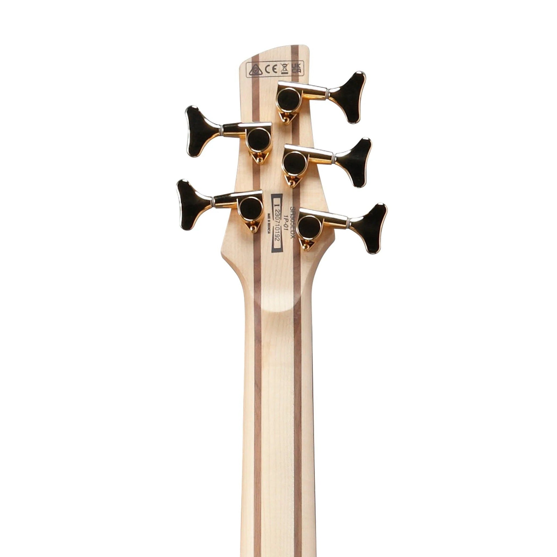 Đàn Guitar Bass Ibanez SR305EDX - SR Standard, 5 - Strings - Việt Music