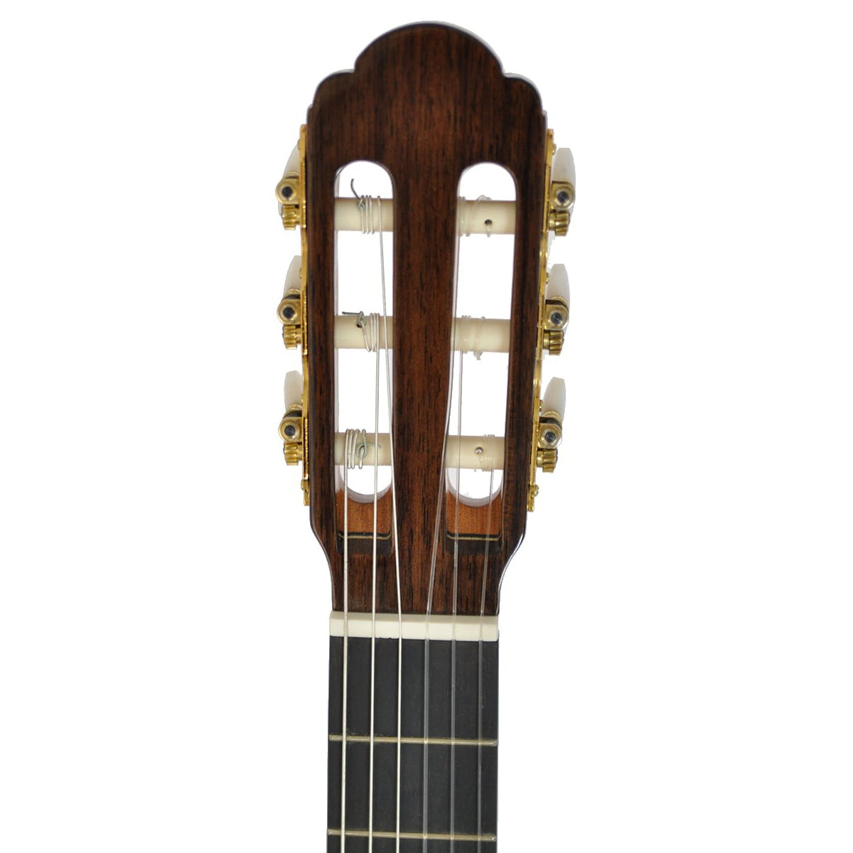 Đàn Guitar Classic Aria A-50S-61 - Việt Music