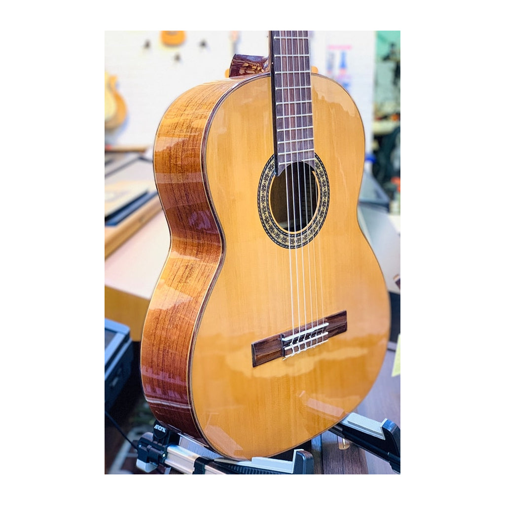 Đàn Guitar Ba Đờn C300 Classic - Việt Music