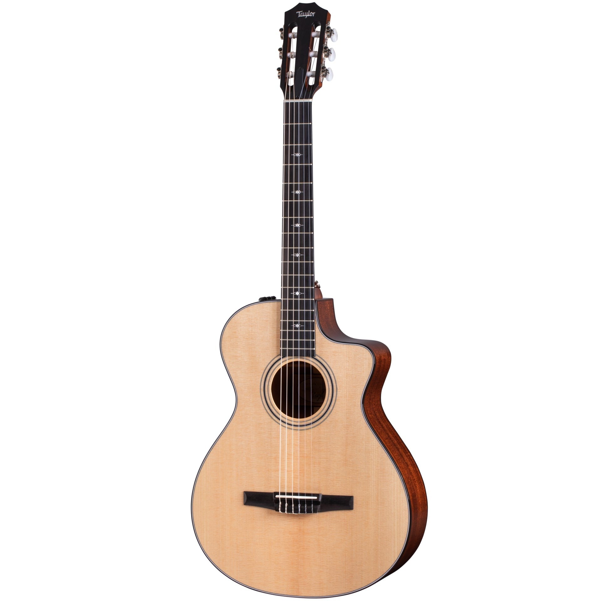 Đàn Guitar Taylor 312CE-N Grand Concert w/Bag Classic - Việt Music