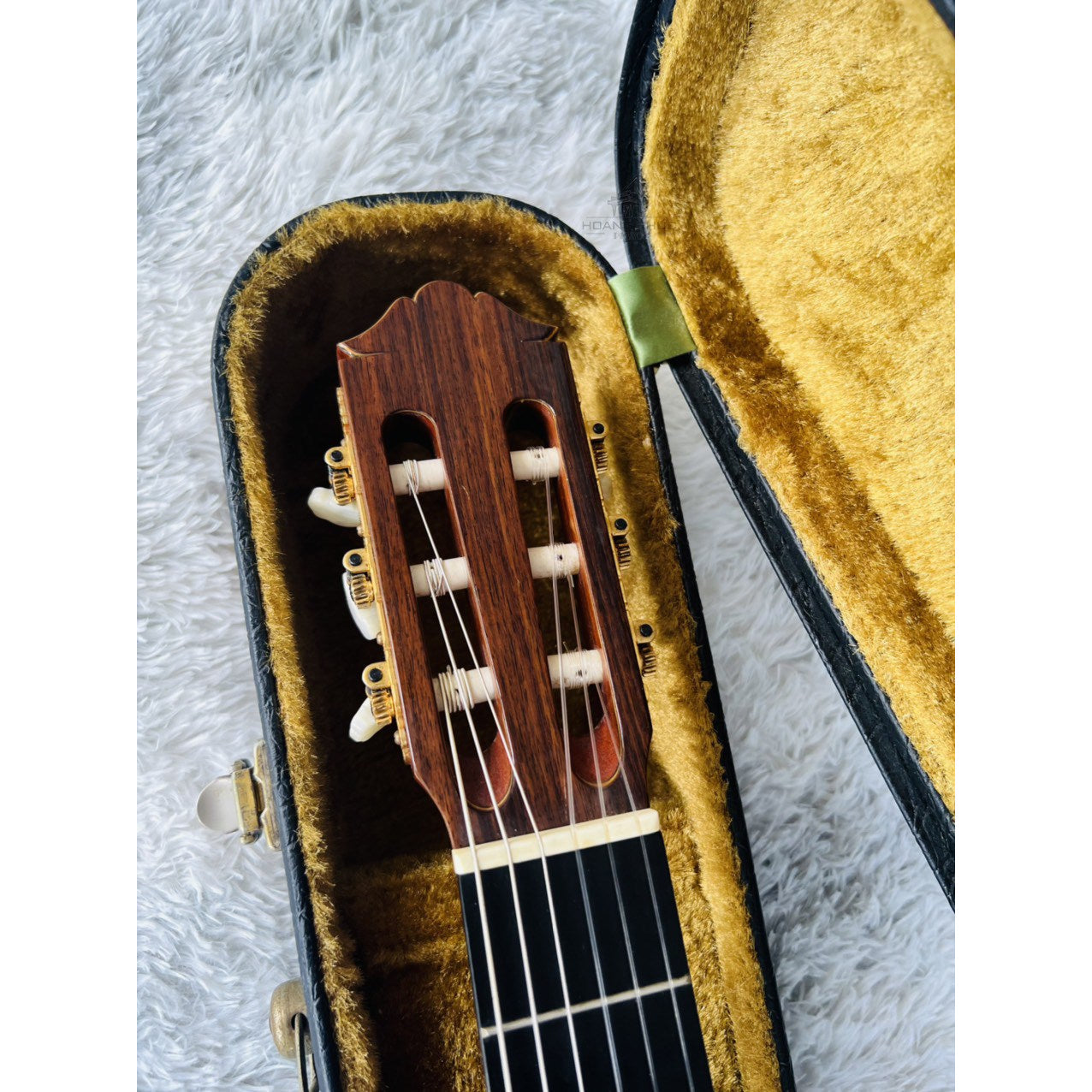 Đàn Guitar Classic Yamaha GC5 1979 - Qua Sử Dụng - Việt Music