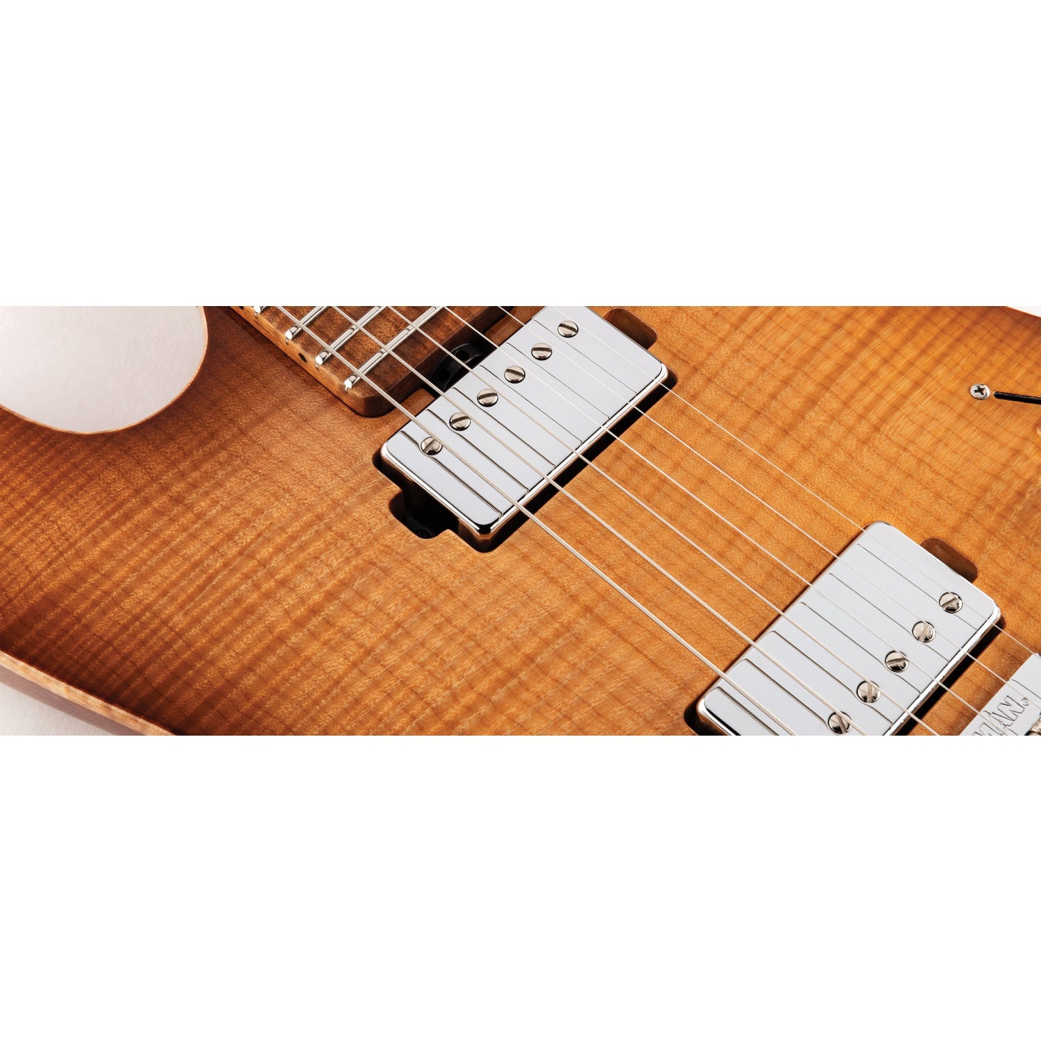 Đàn Guitar Điện Ernie Ball Music Man Sabre HH - Việt Music