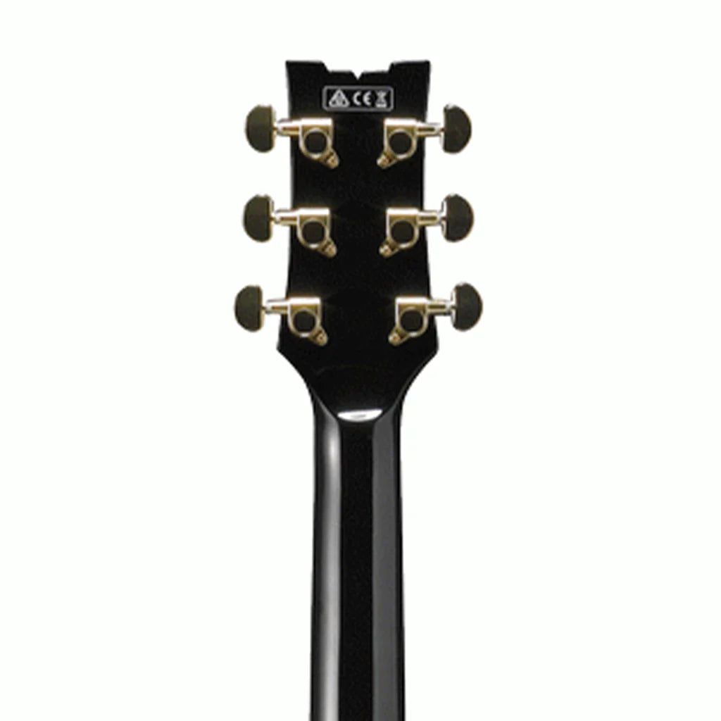 Đàn Guitar Điện Ibanez AMH90-AM Hollow Body HH Bound Macassar Ebony Fingerboard - Việt Music