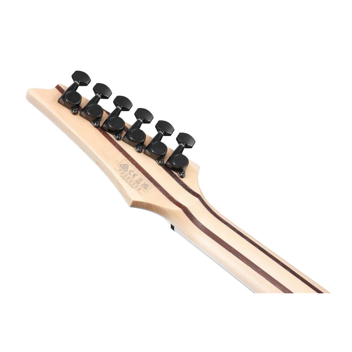 Đàn Guitar Điện Ibanez RG5121ET - RG Axe Design Lab HH, Ebony Fingerboard, Polar Lights - Việt Music