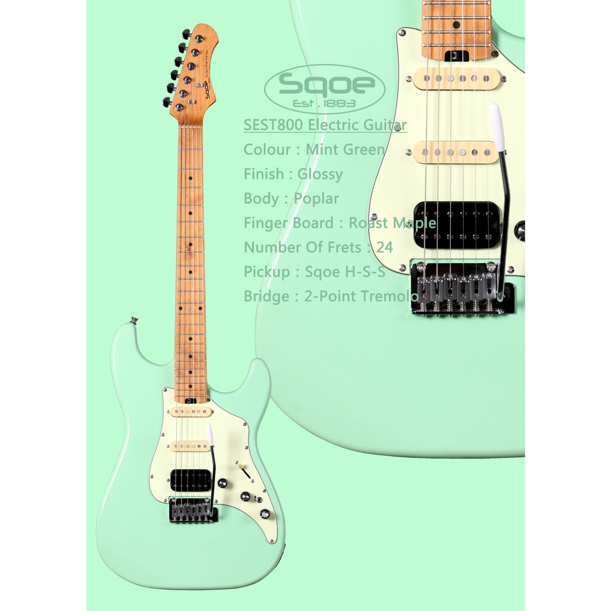 Đàn Guitar Điện Sqoe SEST800 - Việt Music